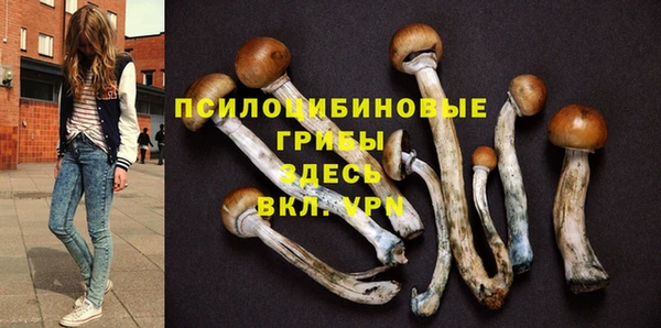 MDMA Медногорск